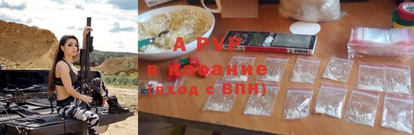 хмурый Бородино