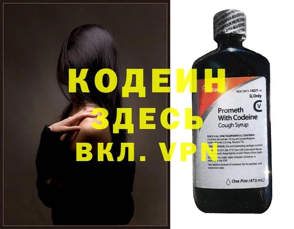 хмурый Бородино