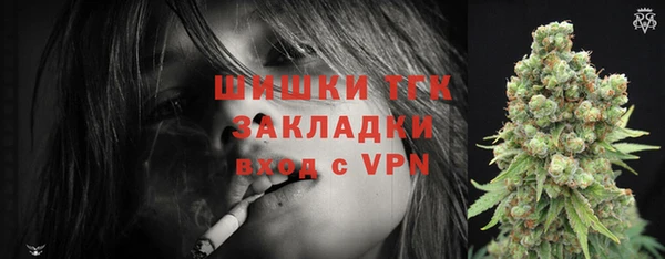 хмурый Бородино