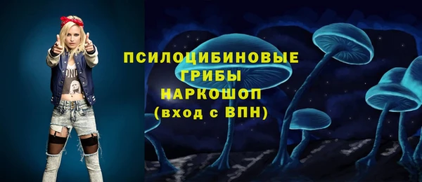 хмурый Бородино