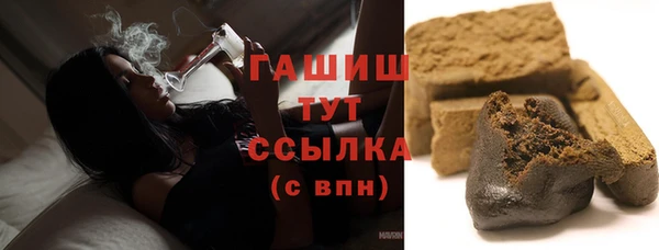 хмурый Бородино