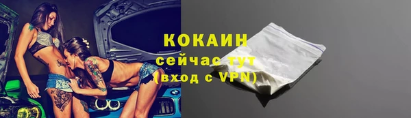 хмурый Бородино