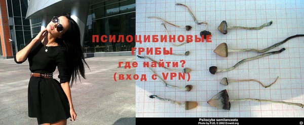 хмурый Бородино
