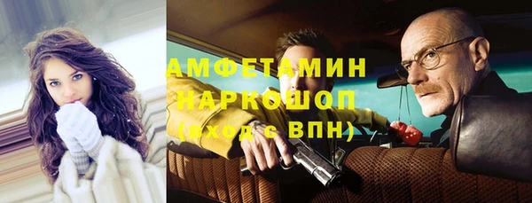 хмурый Бородино