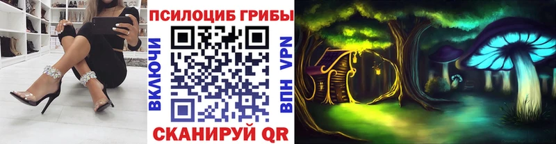 Купить  Грайворон  Галлюциногенные грибы GOLDEN TEACHER 