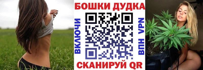 Купить закладки  Грайворон  Конопля марихуана 